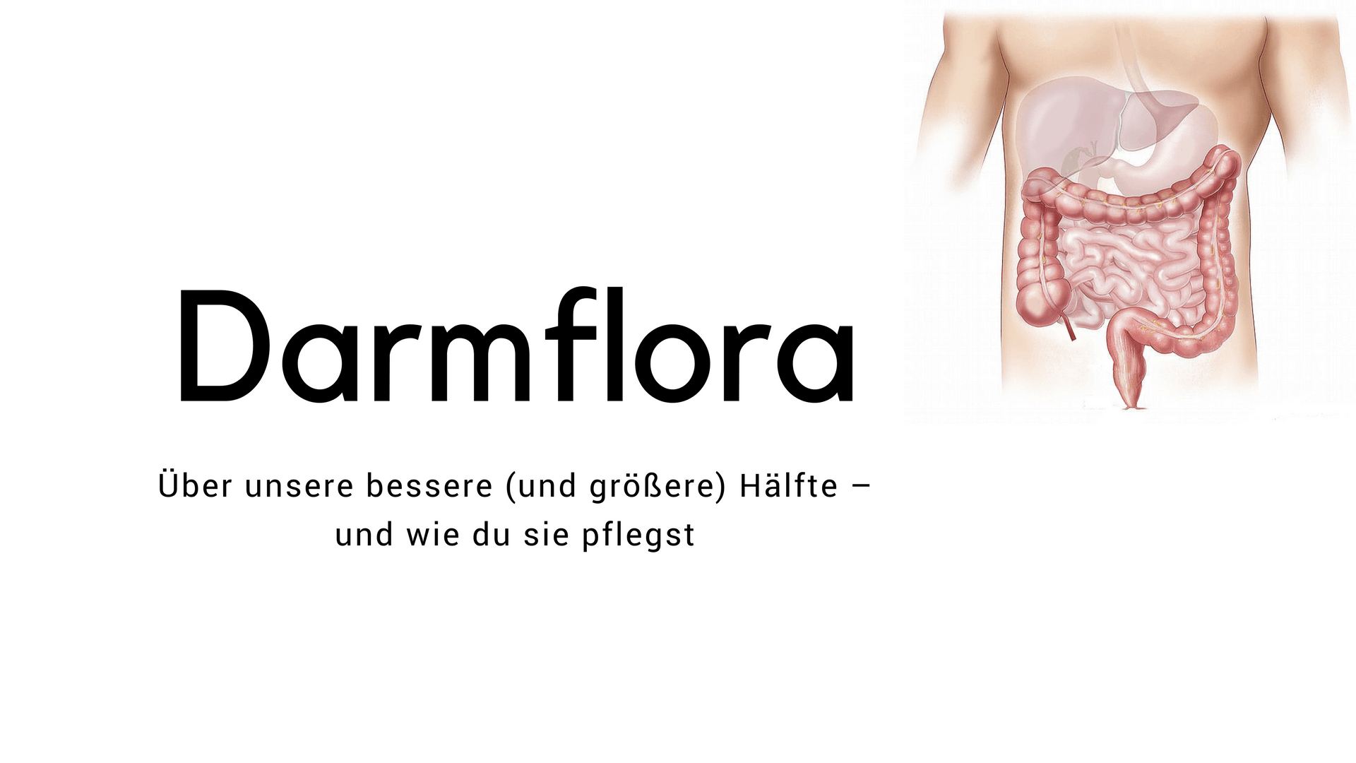 Bedeutung Der Darmflora Verstehen Und Sie Natürlich Aufbauen