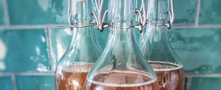 Kombucha Rezept (Zutaten und Anleitung), Wirkung und Gesundheit