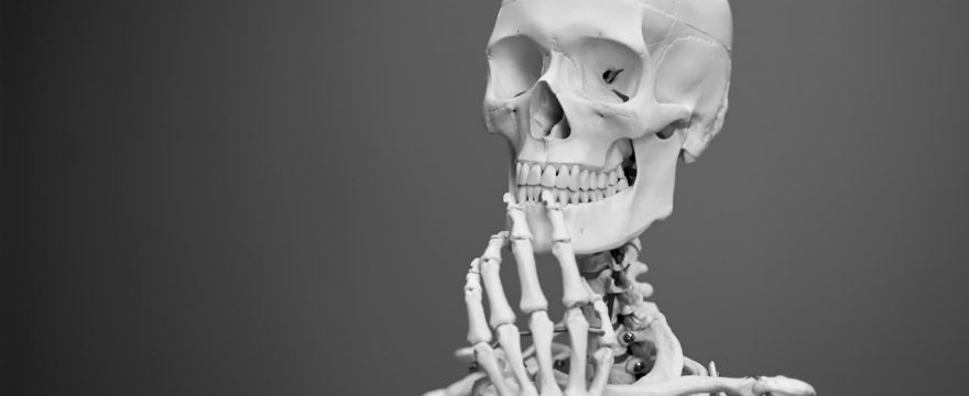Mineralstoffe für gesunde Knochen, Osteoporose vorbeugen